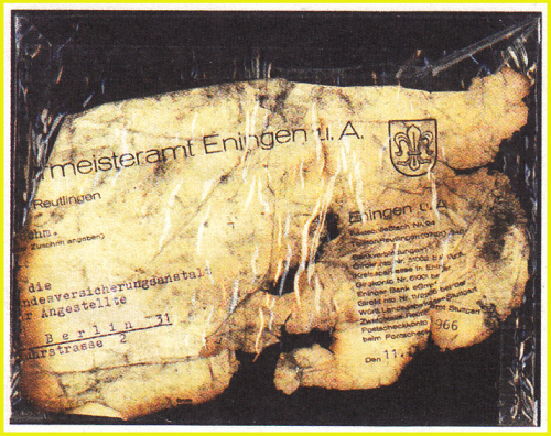 Verunglückter Nachtluftpostbeleg - Sammlung Schroeter