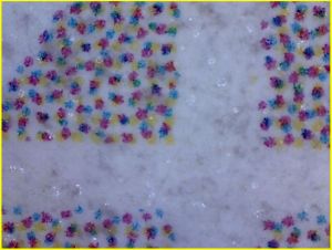 Anderer Detailausschnitt, der die Lackblasen deutlicher zeigt Anderer Detailausschnitt, der die Lackblasen deutlicher zeigt