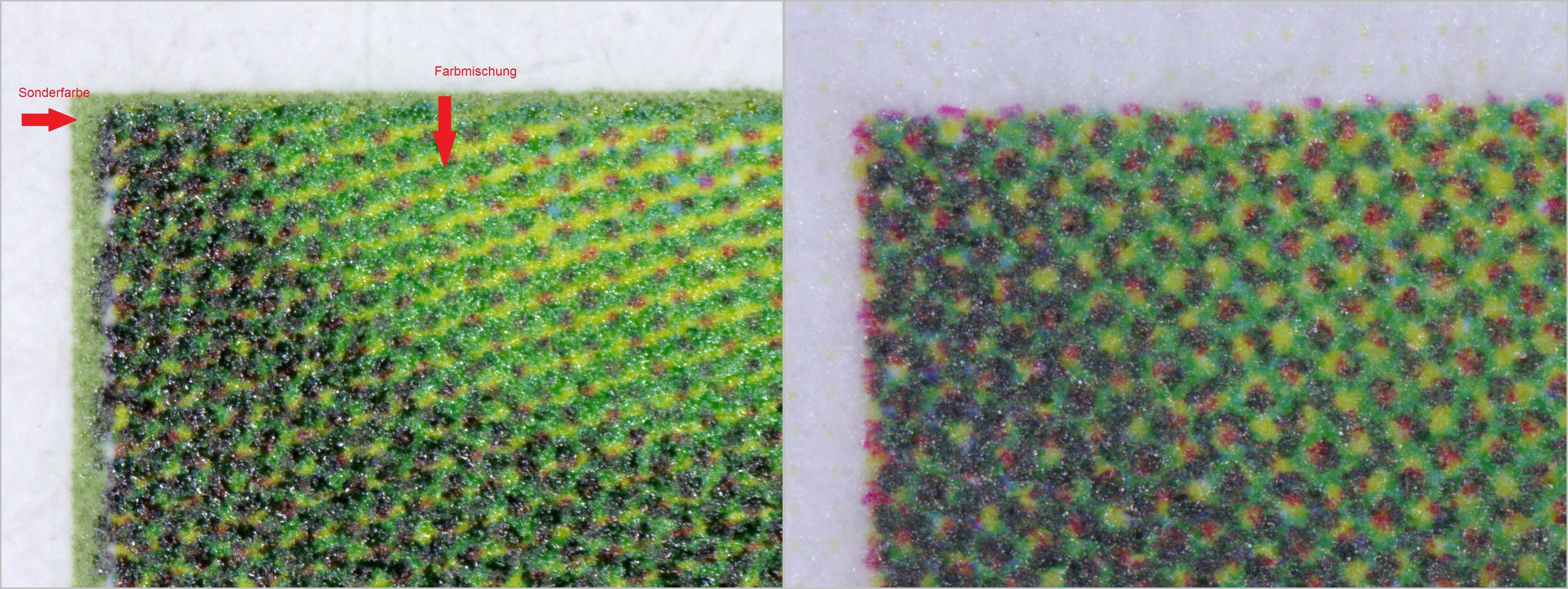 Bildvergleich der linken oberen Ecke beim Buschwindröschen, links die echte Marke mit Rahmen, rechts die falsche Marke ohne Rahmen