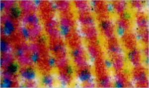 Detailausschnitt der Fälschung mit den kettenförmigen Linien des Digitaldrucks