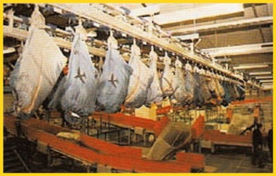 Die Beutelhängebahn, die in verschiedenen Teilen des Gebäudes zu finden ist - denn zum einen kommen teilweise die Briefe und Pakete so an, teils werden sie auch noch so verschickt (allerdings nicht mehr in den hier zu sehenden alten NLP-Beuteln sondern heute oft in blauen und weißen hochreißfesten Kunststoffsäcken Die Beutelhängebahn, die in verschiedenen Teilen des Gebäudes zu finden ist - denn zum einen kommen teilweise die Briefe und Pakete so an, teils werden sie auch noch so verschickt (allerdings nicht mehr in den hier zu sehenden alten NLP-Beuteln sondern heute oft in blauen und weißen hochreißfesten Kunststoffsäcken